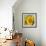 Sunny Sunflower IV-Nicole Katano-Framed Photo displayed on a wall