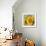 Sunny Sunflower IV-Nicole Katano-Framed Photo displayed on a wall