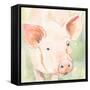 Sunny the Pig II-Victoria Barnes-Framed Stretched Canvas