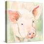 Sunny the Pig II-Victoria Barnes-Stretched Canvas