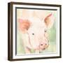 Sunny the Pig II-Victoria Barnes-Framed Art Print