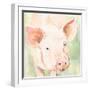 Sunny the Pig II-Victoria Barnes-Framed Art Print