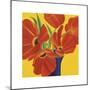 Sunny Tulips-Sarah Horsfall-Mounted Giclee Print