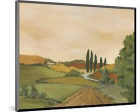 Sunny Tuscan Road-J^ Clark-Mounted Giclee Print