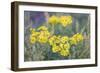 Sunny Wilderness-Staffan Widstrand-Framed Giclee Print