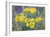 Sunny Wilderness-Staffan Widstrand-Framed Giclee Print