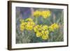 Sunny Wilderness-Staffan Widstrand-Framed Giclee Print