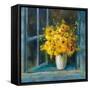 Sunny Windowsill-Danhui Nai-Framed Stretched Canvas