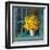 Sunny Windowsill-Danhui Nai-Framed Art Print