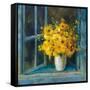 Sunny Windowsill-Danhui Nai-Framed Stretched Canvas