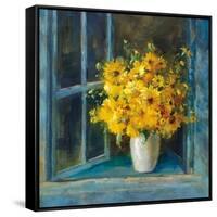 Sunny Windowsill-Danhui Nai-Framed Stretched Canvas