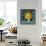 Sunny Windowsill-Danhui Nai-Framed Stretched Canvas displayed on a wall
