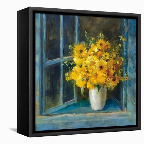 Sunny Windowsill-Danhui Nai-Framed Stretched Canvas