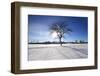 Sunny Winter-SNEHITDESIGN-Framed Photographic Print