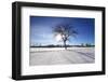 Sunny Winter-SNEHITDESIGN-Framed Photographic Print