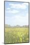 Sunny Yellow Speckled Field-null-Mounted Photographic Print