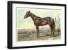 Sunol, Race Horse-null-Framed Art Print