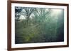 Sunray and remains of a defensive wall of a bunker on a mountain in a wood in winter in Alsace-Axel Killian-Framed Photographic Print