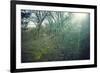 Sunray and remains of a defensive wall of a bunker on a mountain in a wood in winter in Alsace-Axel Killian-Framed Photographic Print