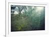 Sunray and remains of a defensive wall of a bunker on a mountain in a wood in winter in Alsace-Axel Killian-Framed Photographic Print