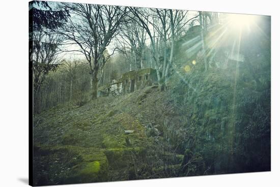 Sunray and remains of a defensive wall of a bunker on a mountain in a wood in winter in Alsace-Axel Killian-Stretched Canvas