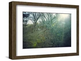 Sunray and remains of a defensive wall of a bunker on a mountain in a wood in winter in Alsace-Axel Killian-Framed Photographic Print