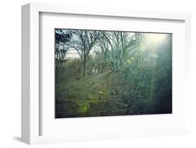 Sunray and remains of a defensive wall of a bunker on a mountain in a wood in winter in Alsace-Axel Killian-Framed Photographic Print