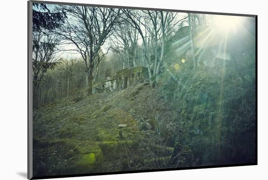 Sunray and remains of a defensive wall of a bunker on a mountain in a wood in winter in Alsace-Axel Killian-Mounted Photographic Print