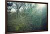 Sunray and remains of a defensive wall of a bunker on a mountain in a wood in winter in Alsace-Axel Killian-Framed Photographic Print