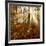 Sunrays and Morning Fog, Deciduous Forest in Autumn, Ziegelroda Forest, Saxony-Anhalt, Germany-Andreas Vitting-Framed Photographic Print