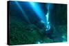 Sunrays Shine on Scuba Diver in the Devils Den Spring, Florida-James White-Stretched Canvas