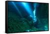 Sunrays Shine on Scuba Diver in the Devils Den Spring, Florida-James White-Framed Stretched Canvas