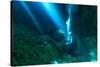 Sunrays Shine on Scuba Diver in the Devils Den Spring, Florida-James White-Stretched Canvas