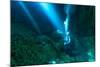 Sunrays Shine on Scuba Diver in the Devils Den Spring, Florida-James White-Mounted Photographic Print
