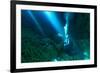 Sunrays Shine on Scuba Diver in the Devils Den Spring, Florida-James White-Framed Photographic Print