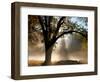 Sunrays Through the Fog-Jim Becia-Framed Photographic Print
