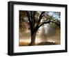 Sunrays Through the Fog-Jim Becia-Framed Photographic Print