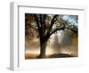 Sunrays Through the Fog-Jim Becia-Framed Photographic Print