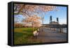 Sunrie Cherry Trees and Steel Bridge, Portland Oregon.-Craig Tuttle-Framed Stretched Canvas