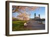 Sunrie Cherry Trees and Steel Bridge, Portland Oregon.-Craig Tuttle-Framed Photographic Print