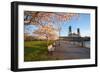 Sunrie Cherry Trees and Steel Bridge, Portland Oregon.-Craig Tuttle-Framed Photographic Print