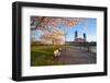 Sunrie Cherry Trees and Steel Bridge, Portland Oregon.-Craig Tuttle-Framed Photographic Print