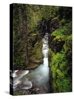 Sunrift Gorge on Baring Creek in Glacier National Park, Montana, USA-Chuck Haney-Stretched Canvas