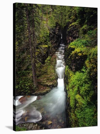 Sunrift Gorge on Baring Creek in Glacier National Park, Montana, USA-Chuck Haney-Stretched Canvas