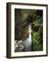 Sunrift Gorge on Baring Creek in Glacier National Park, Montana, USA-Chuck Haney-Framed Photographic Print