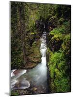 Sunrift Gorge on Baring Creek in Glacier National Park, Montana, USA-Chuck Haney-Mounted Photographic Print