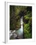 Sunrift Gorge on Baring Creek in Glacier National Park, Montana, USA-Chuck Haney-Framed Photographic Print