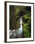 Sunrift Gorge on Baring Creek in Glacier National Park, Montana, USA-Chuck Haney-Framed Photographic Print