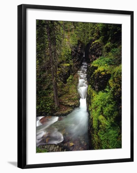 Sunrift Gorge on Baring Creek in Glacier National Park, Montana, USA-Chuck Haney-Framed Photographic Print