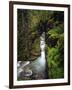 Sunrift Gorge on Baring Creek in Glacier National Park, Montana, USA-Chuck Haney-Framed Photographic Print